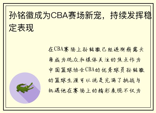 孙铭徽成为CBA赛场新宠，持续发挥稳定表现